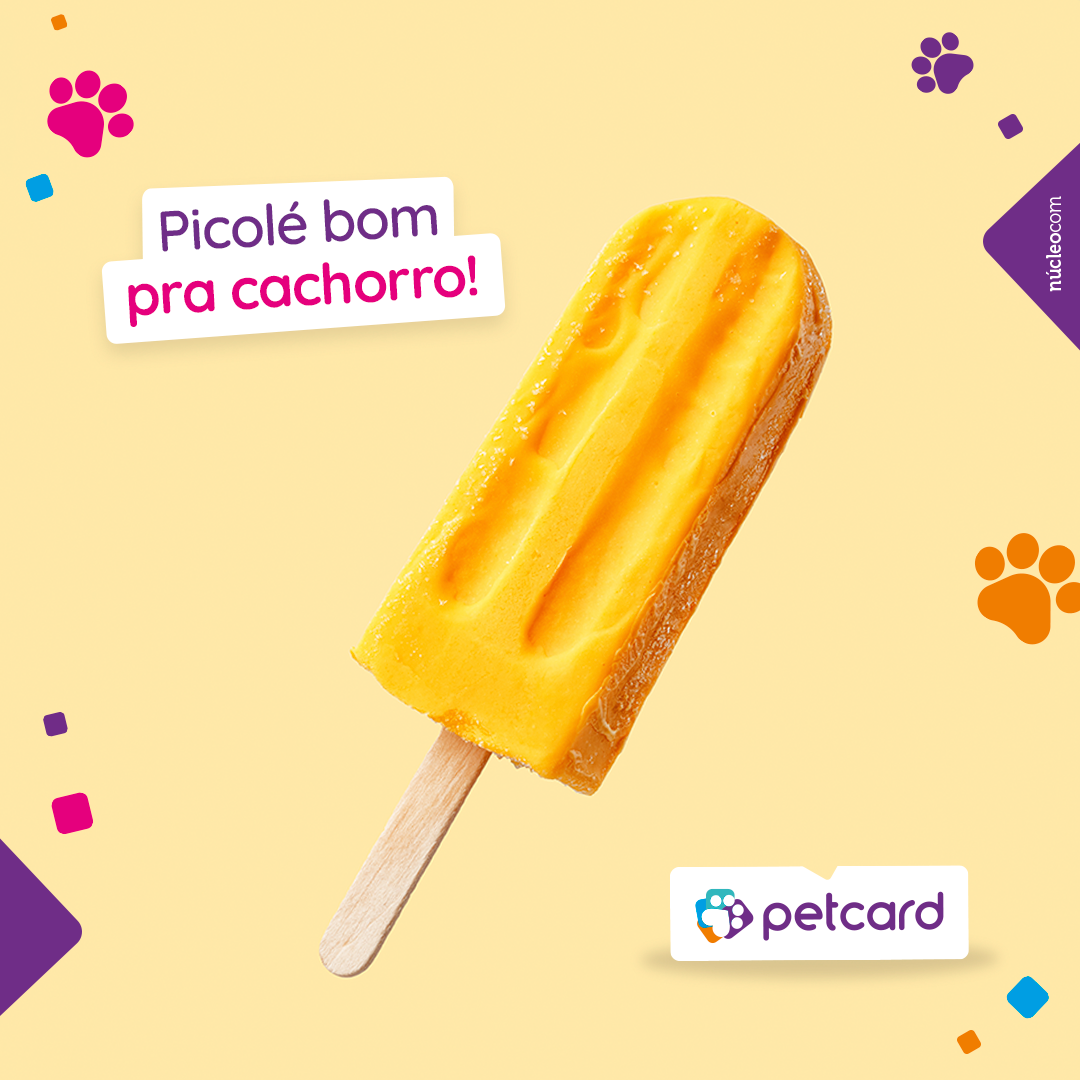 Petcard - 📱 PETCARD – CARTÃO DE SAÚDE PET 🇧🇷 Nesse calor... | Facebook
