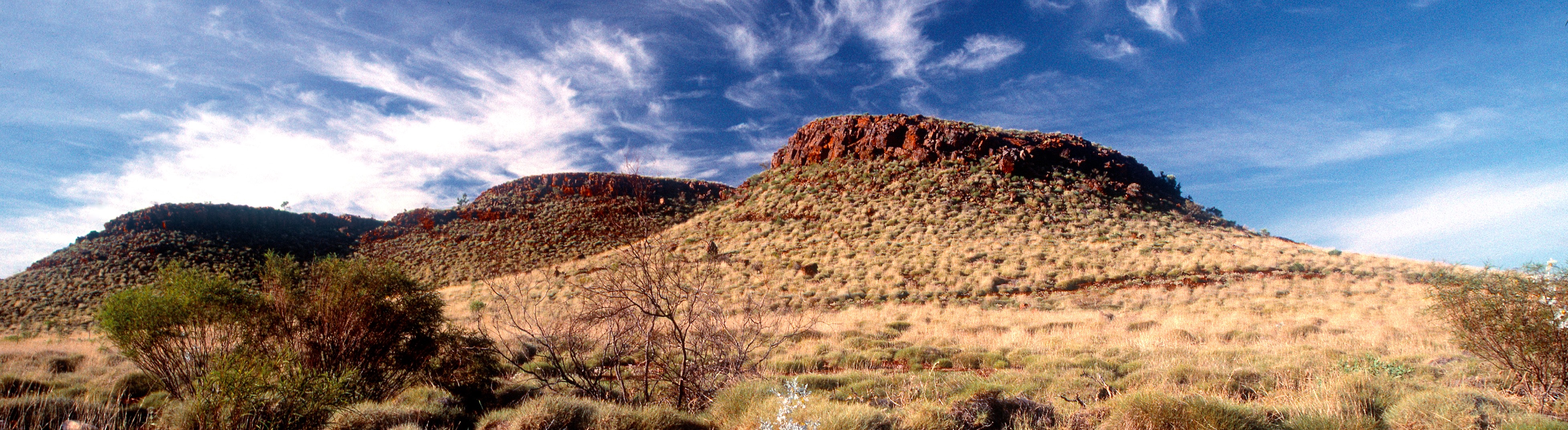 Queensland National Parks... - Queensland National Parks