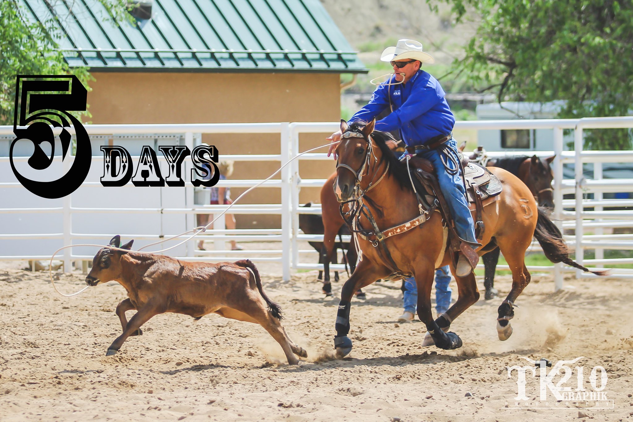 Florence Rodeo | Florence CO