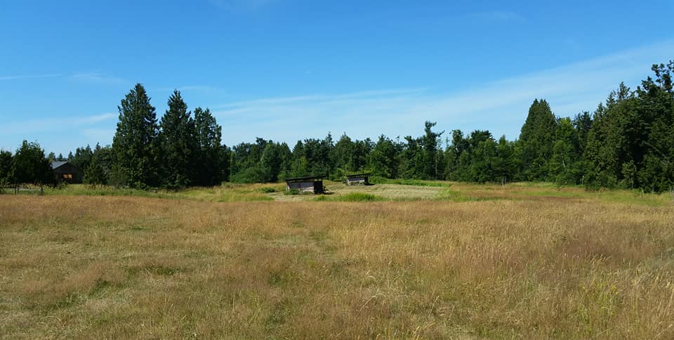 Copper Moon Ranch | Abbotsford BC