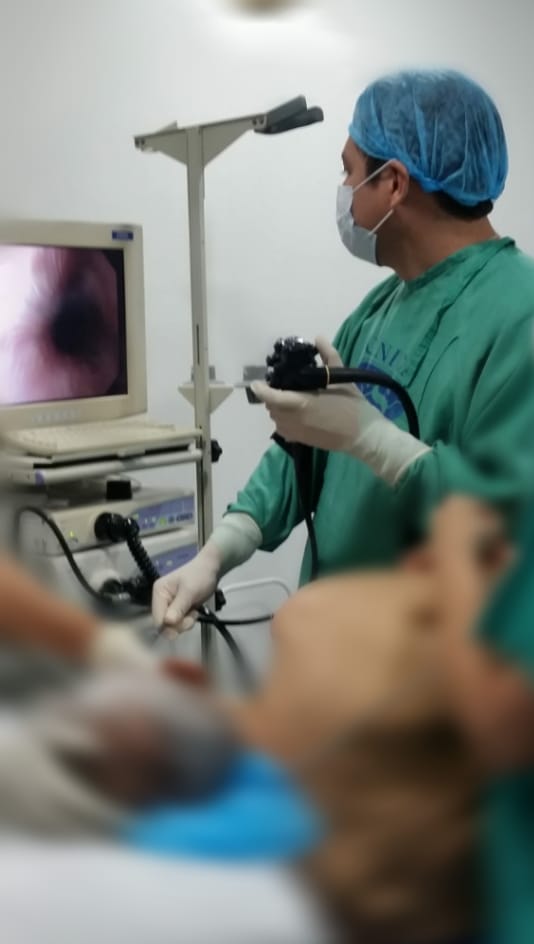 GastroMilagro - ¿Qué es la Endoscopia Digestiva Alta? La Endoscopia ...