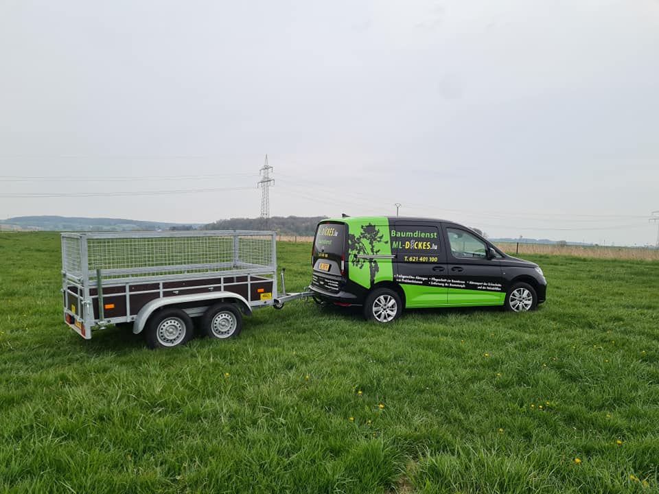 ked fahrradhelme freiberg öffnungszeiten Crom Variante - Farbe wählen:Einsitzer / Thule Chariot Sport 1 Midnight Black Kaufe Aluminiumlegierung 36V 250W ikea lochplatte