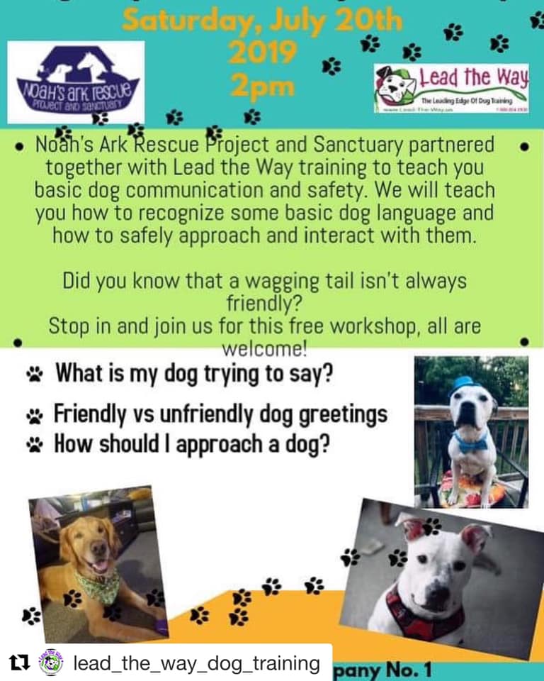 ‼️... - Noah's Ark Rescue Project and Sanctuary - aka NARPS | Facebook