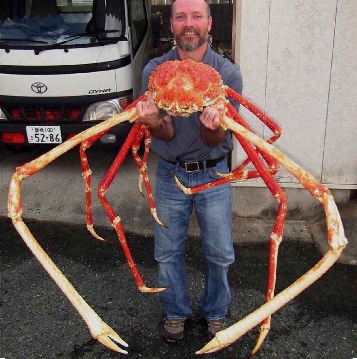 Comment Tuer Le Crabe Geant Dans The Island