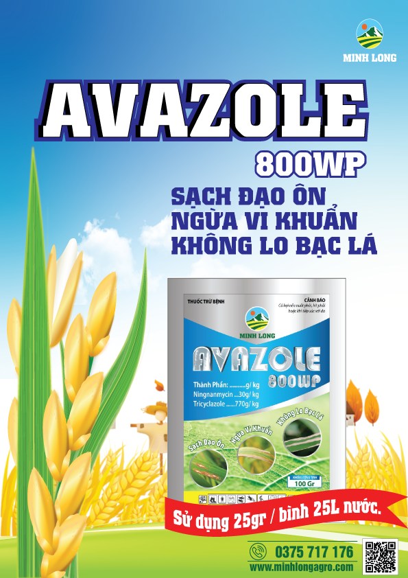 Avazole 800WP