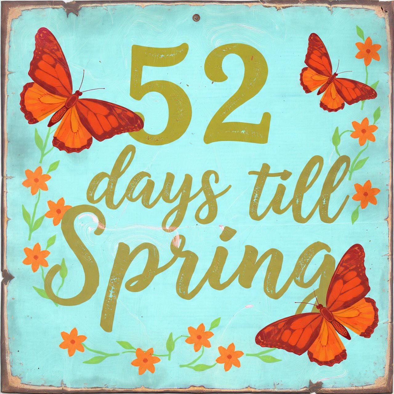 Building a Butterfly Garden | 🌞💐 52 DAYS… THAT’S IT | Facebook