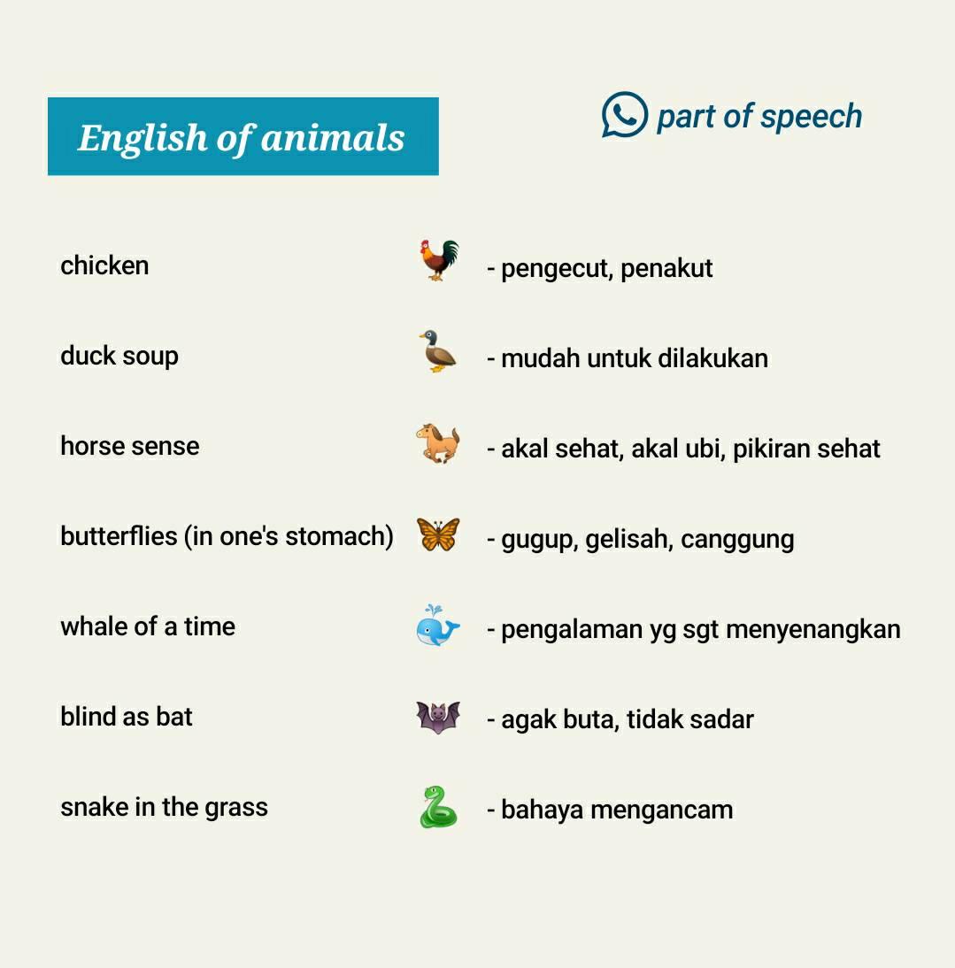 Realistic English Phrases And Sentences Facebook
