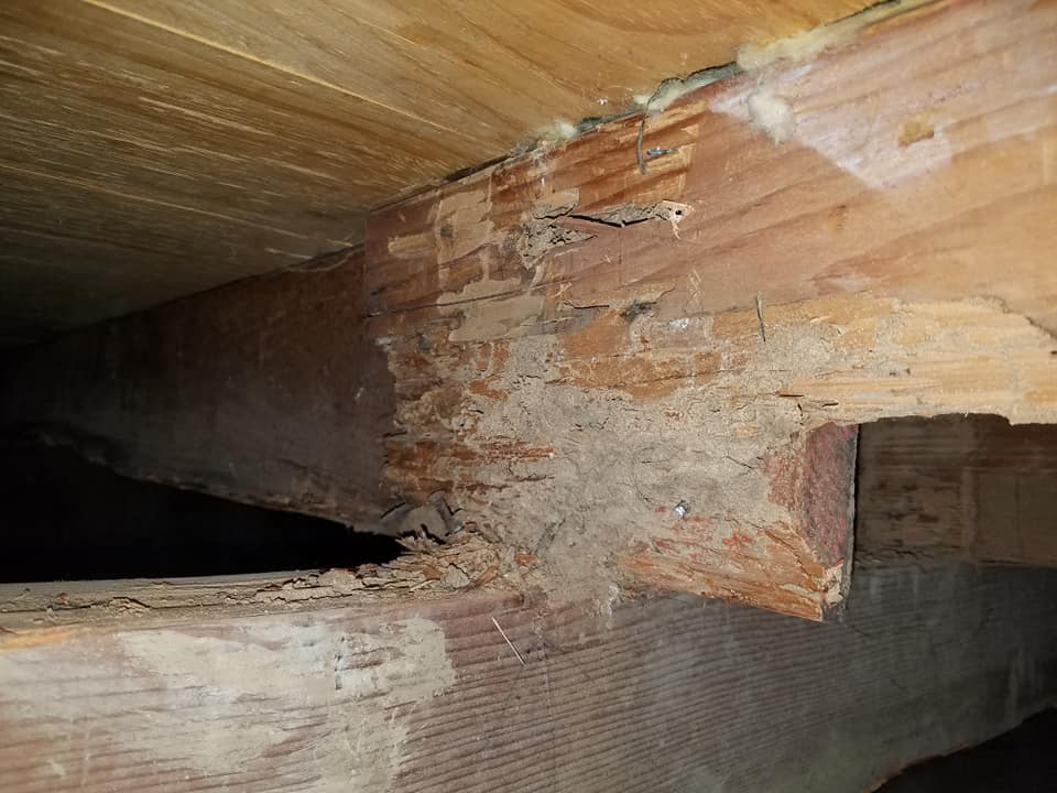 Circle Termite Co. Inc. | Upland CA
