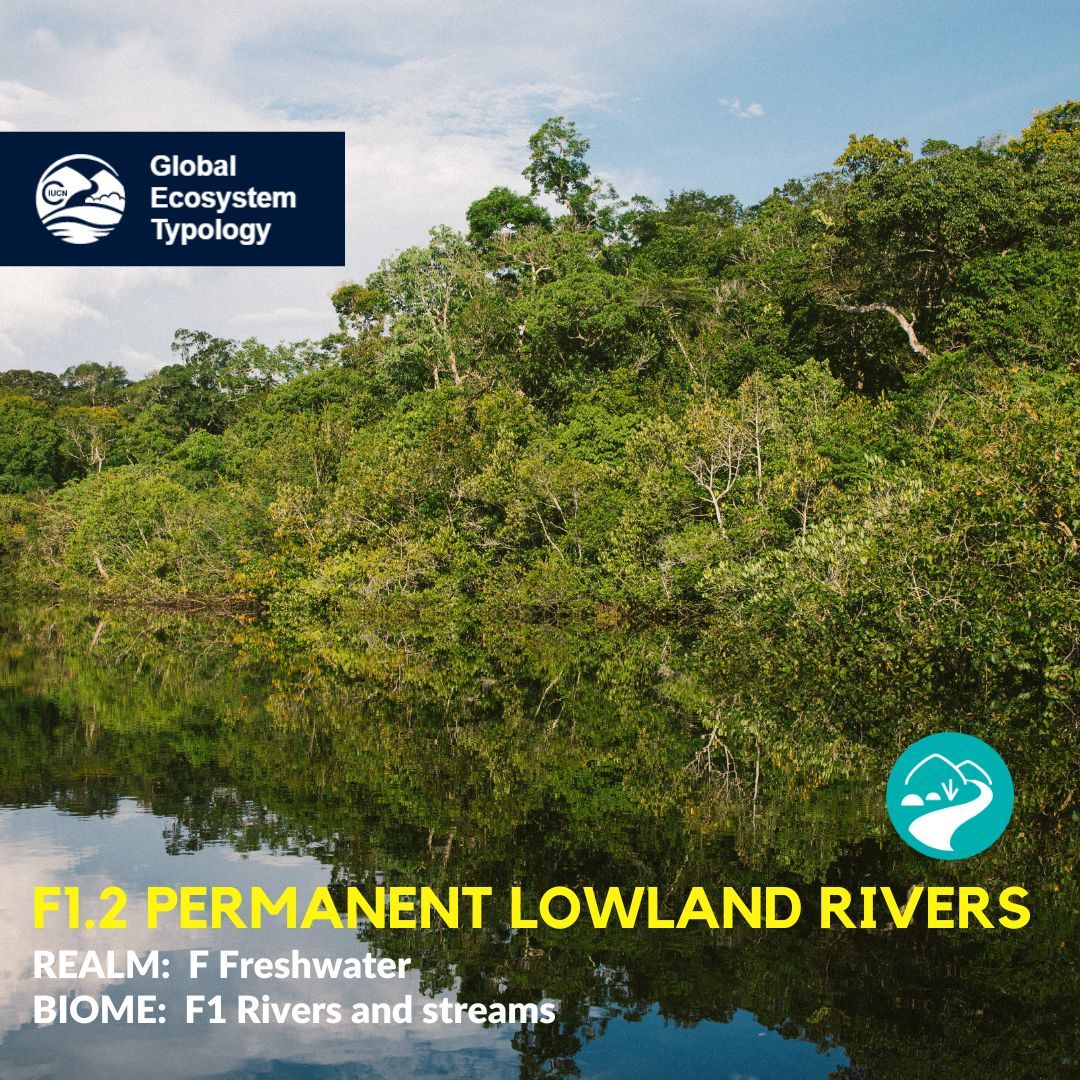 Small-medium lowland rivers... - IUCN Red List of Ecosystems