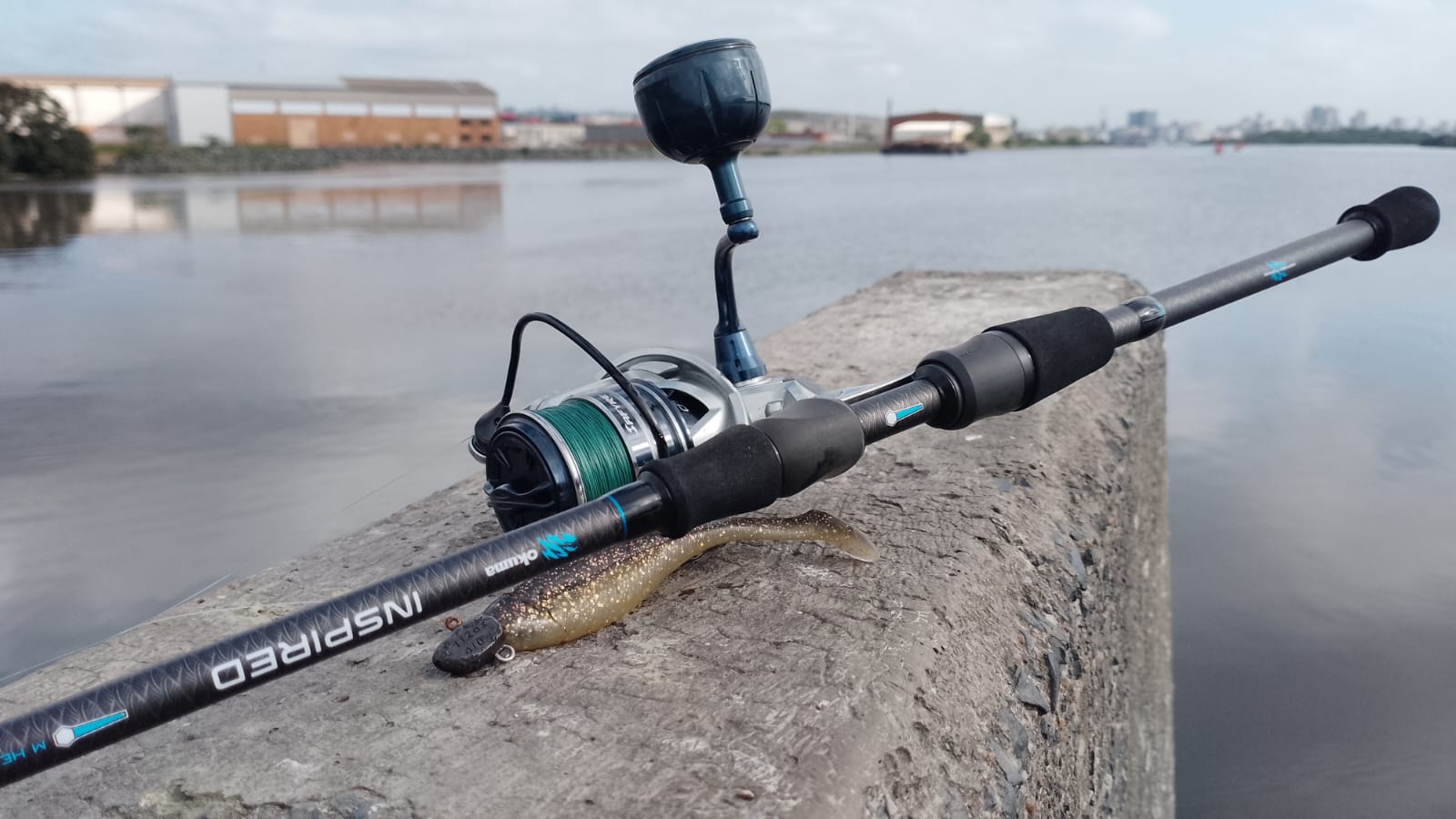 best spin rod combo Amazon Sellers: Best Fishing & Reel Combos Shimano Baitrunner 3500, Fishing the stainless steel guides Color:USA Tag:Saltwater