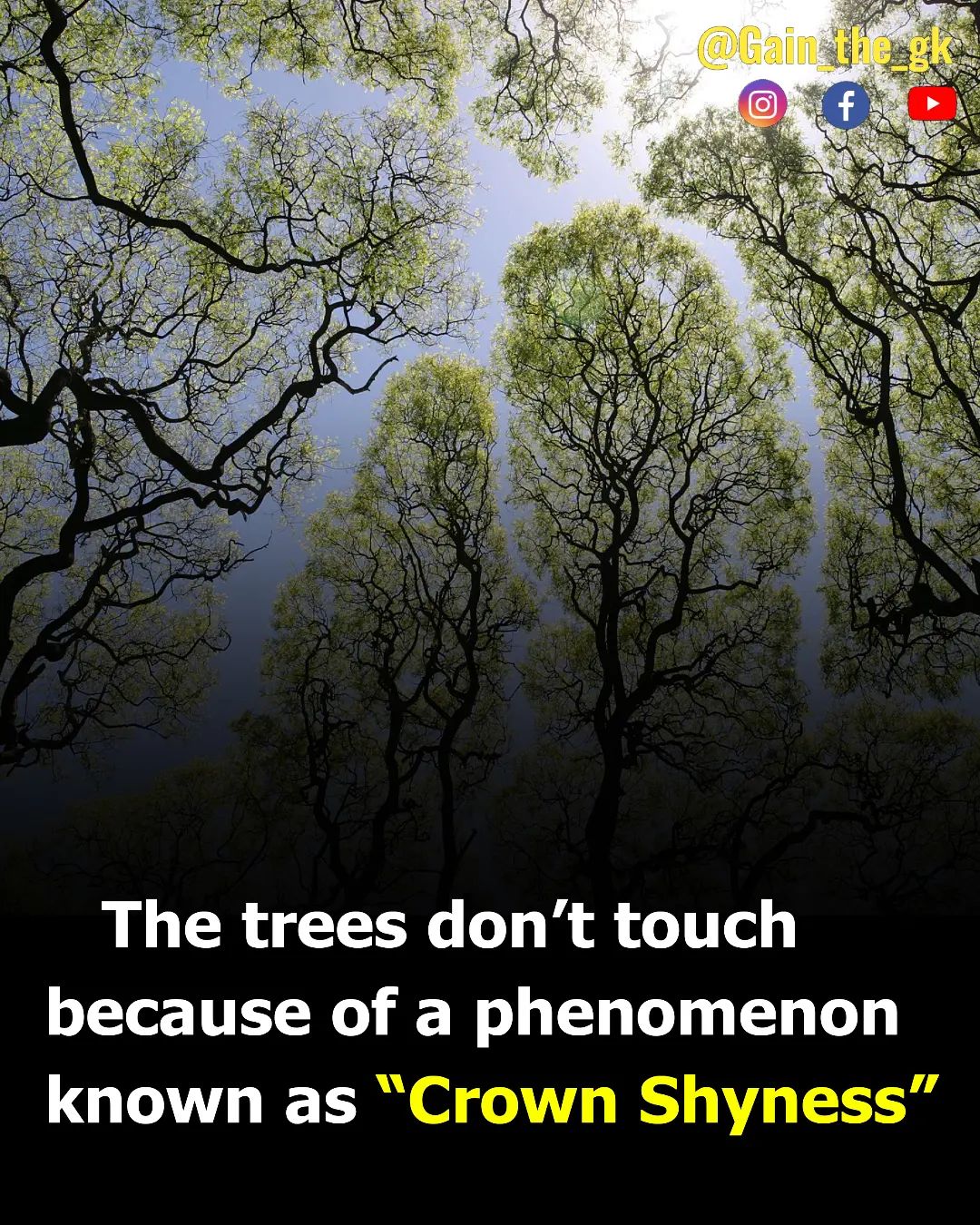 Gk and facts - Did you know . . Gk and Facts]]]]]]]]]... | Facebook
