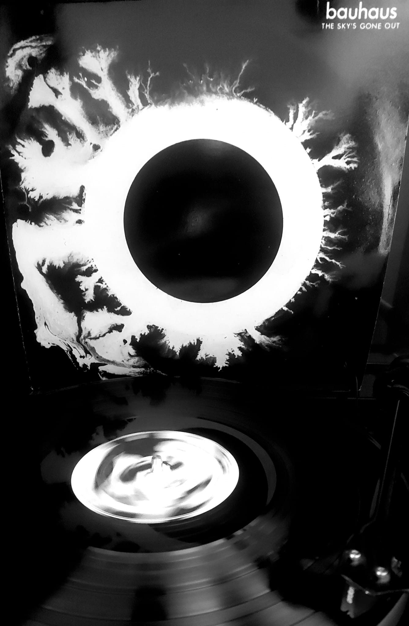Bauhaus 