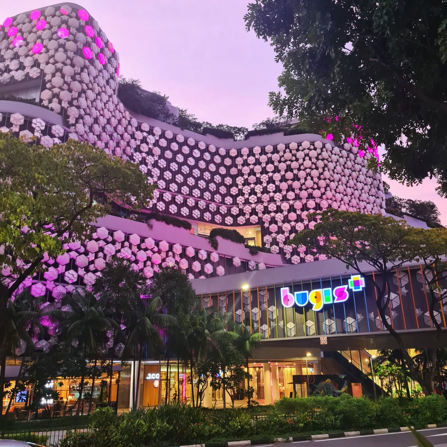 Bugis Junction x Bugis+ - Bugis+ will be aglow with purple as part of ...