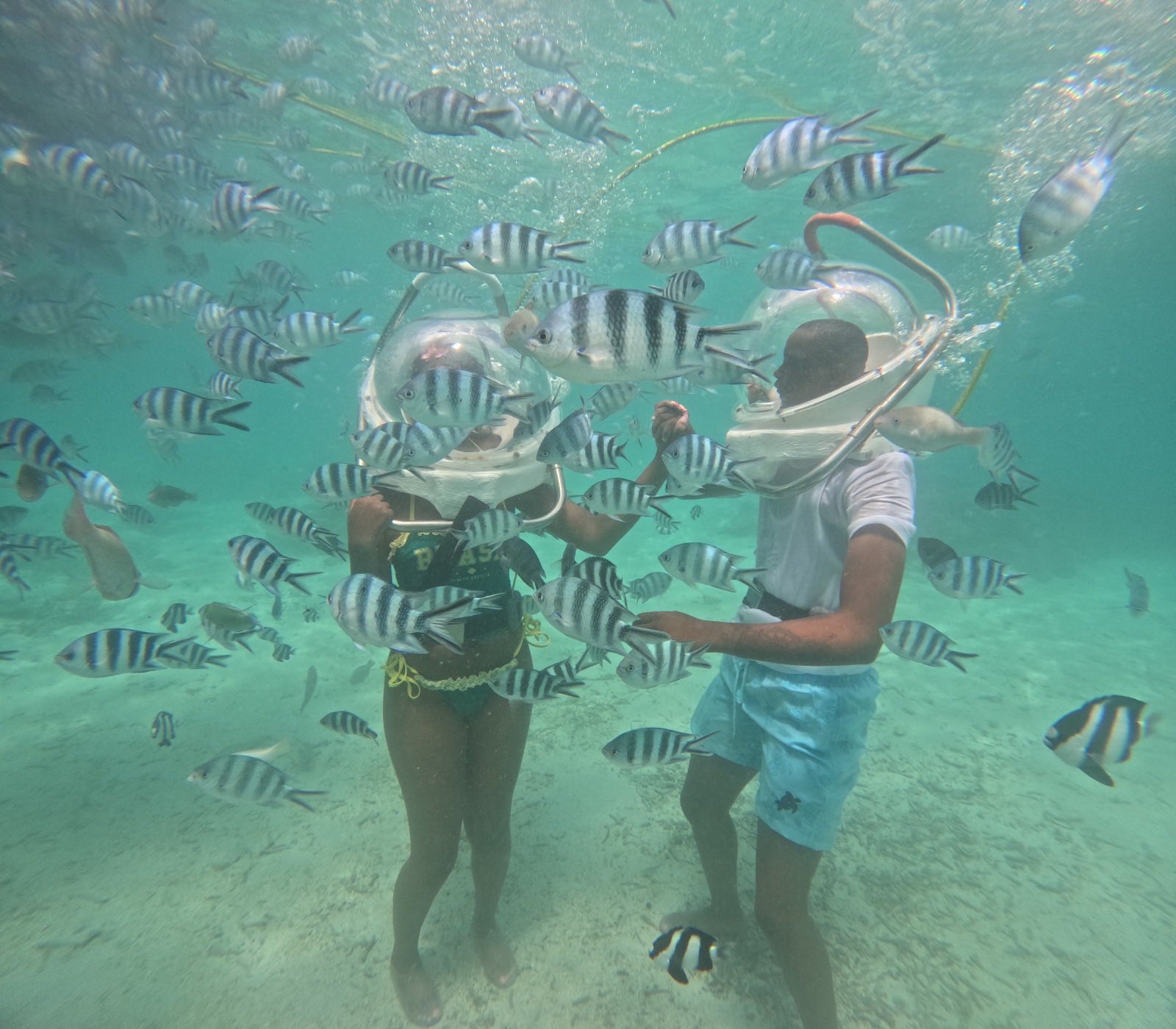 Mac Dee - The fishes were all over imagine touching a fish... | Facebook