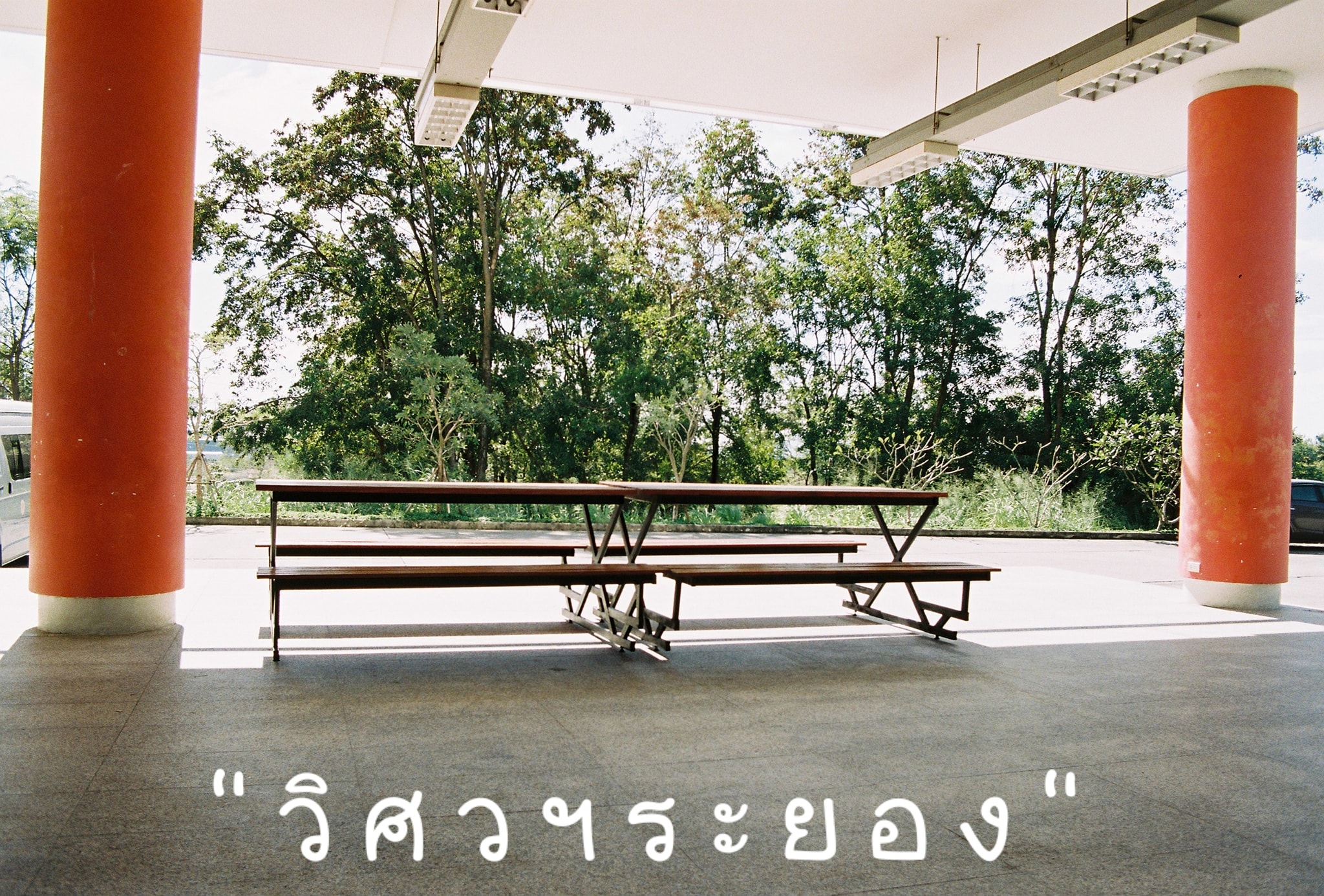 ม อ ง ม อ - 