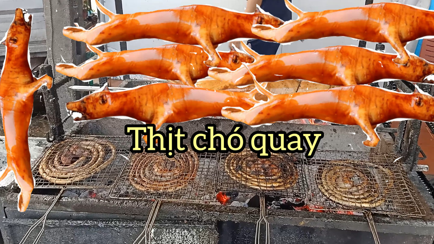 ĐẶC SẢN THỊT CHÓ QUAY | Facebook