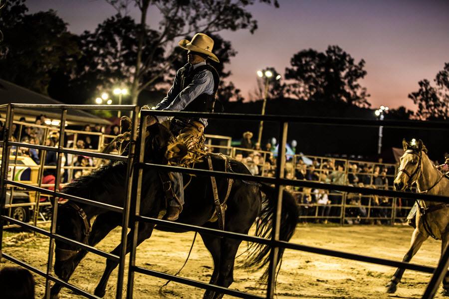 Mooloolah Rodeo