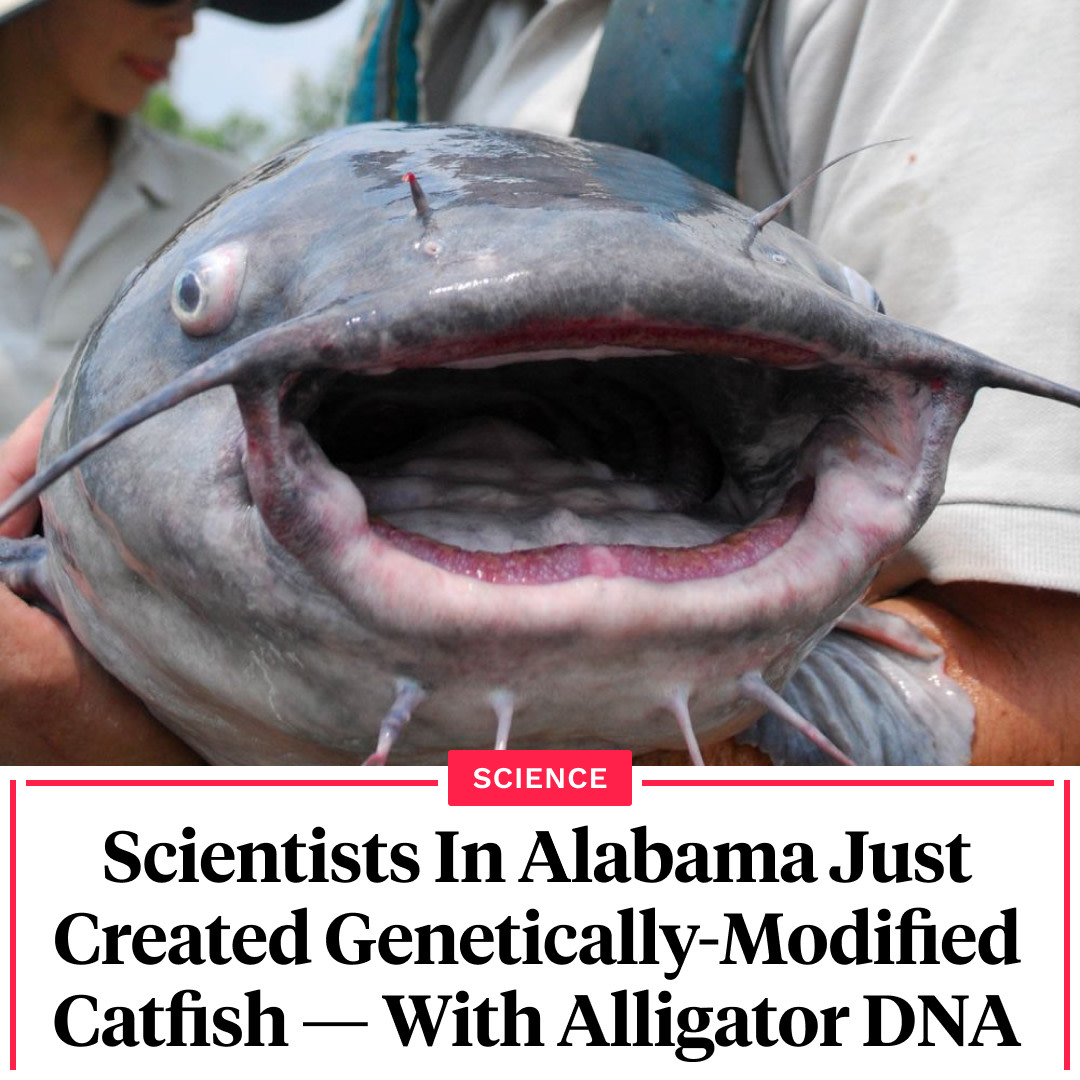 All That's Interesting - Scientists at Auburn University in Alabama ...