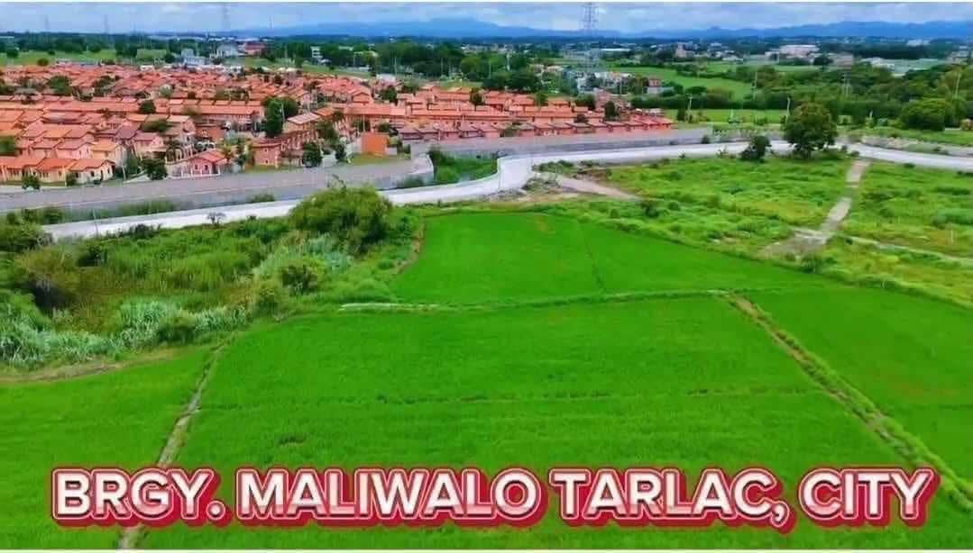 Pampanga, Tarlac installment lot and Buy and Sell | PROMO‼️PROMO‼️