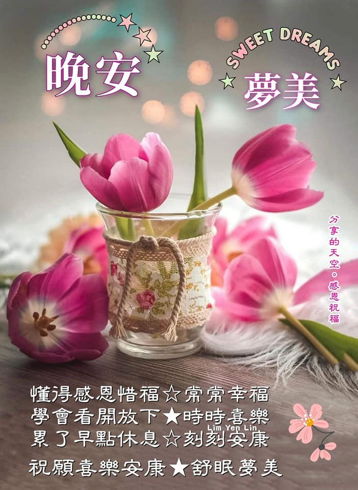 分享讓你快樂。感恩讓你幸福※ - 懂得感恩惜福⭐️常常幸福🌷 學會看開放下⭐️時時喜樂🌷 累了早點休息⭐️刻刻安康🌷 #晚安⭐️舒眠夢美⭐️ ...