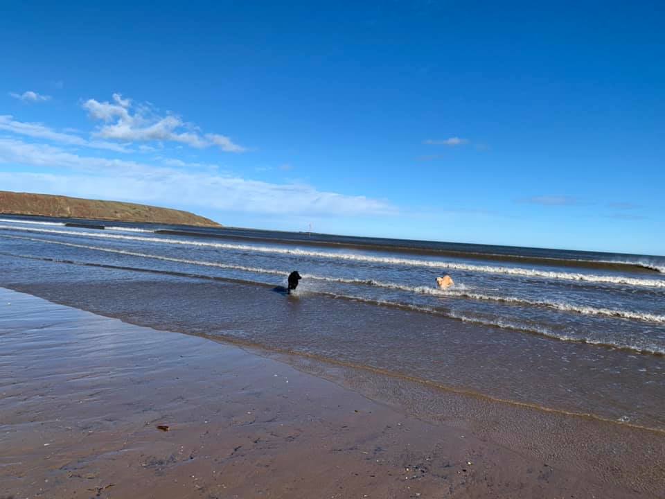 Sunset Cottage | Filey