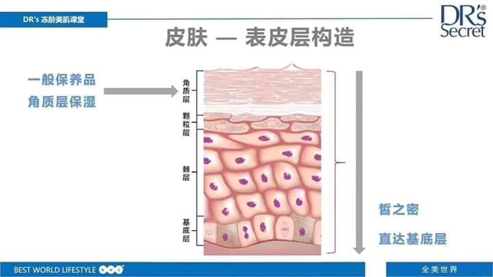 DR's Secret 皙之密 - Foundation Free 素颜美肌 | Kuala Lumpur
