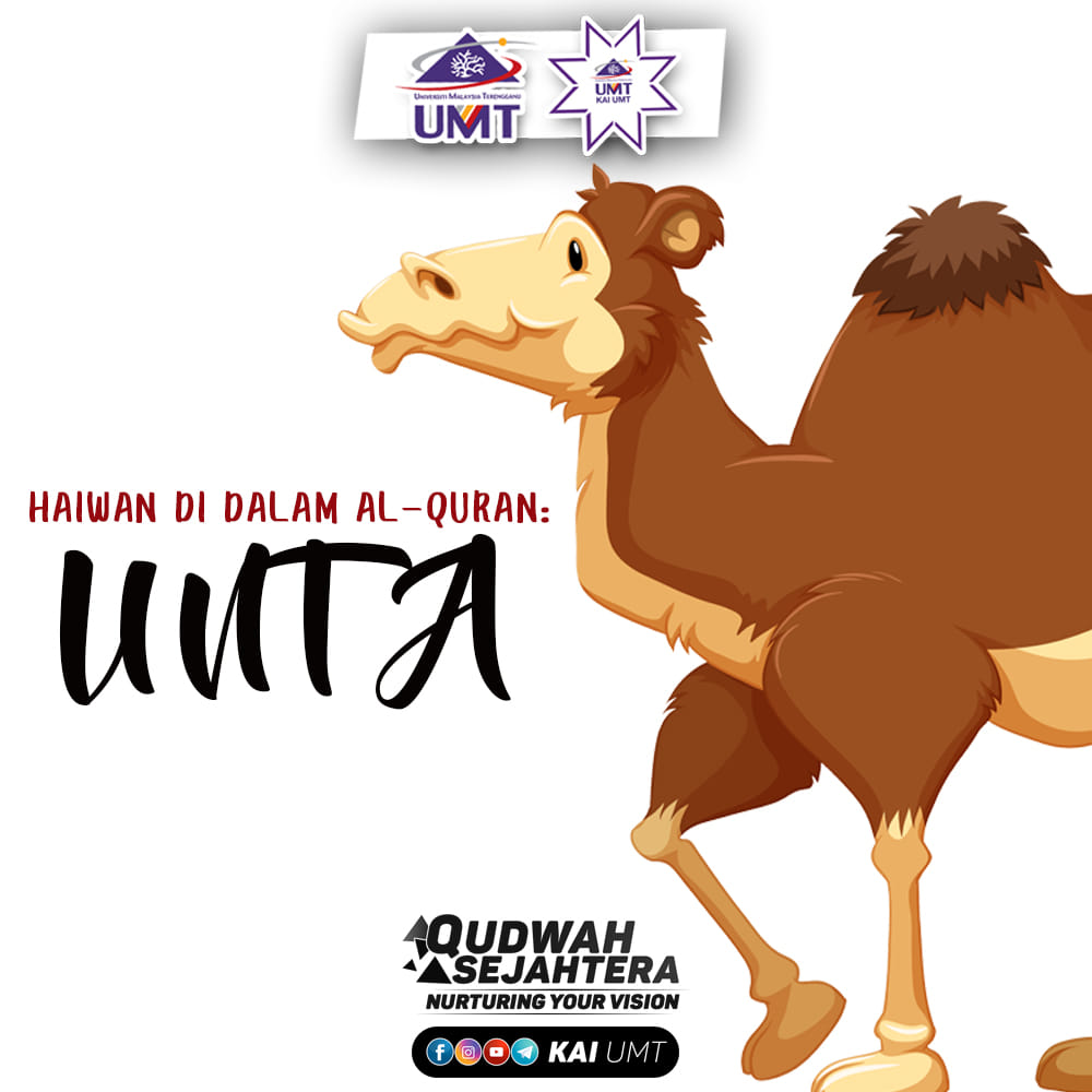 KAI - HAIWAN DALAM AL-QURAN: UNTA Setiap haiwan yang disebutkan oleh ...