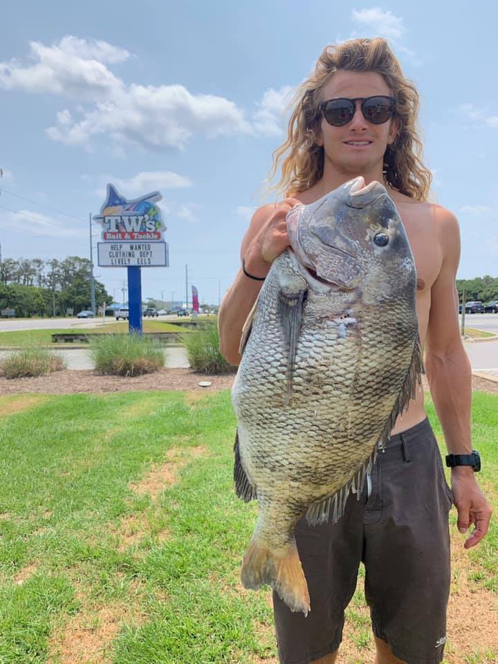 TW'S Bait and Tackle - Quentin Turko with a monster sheepshead he ...