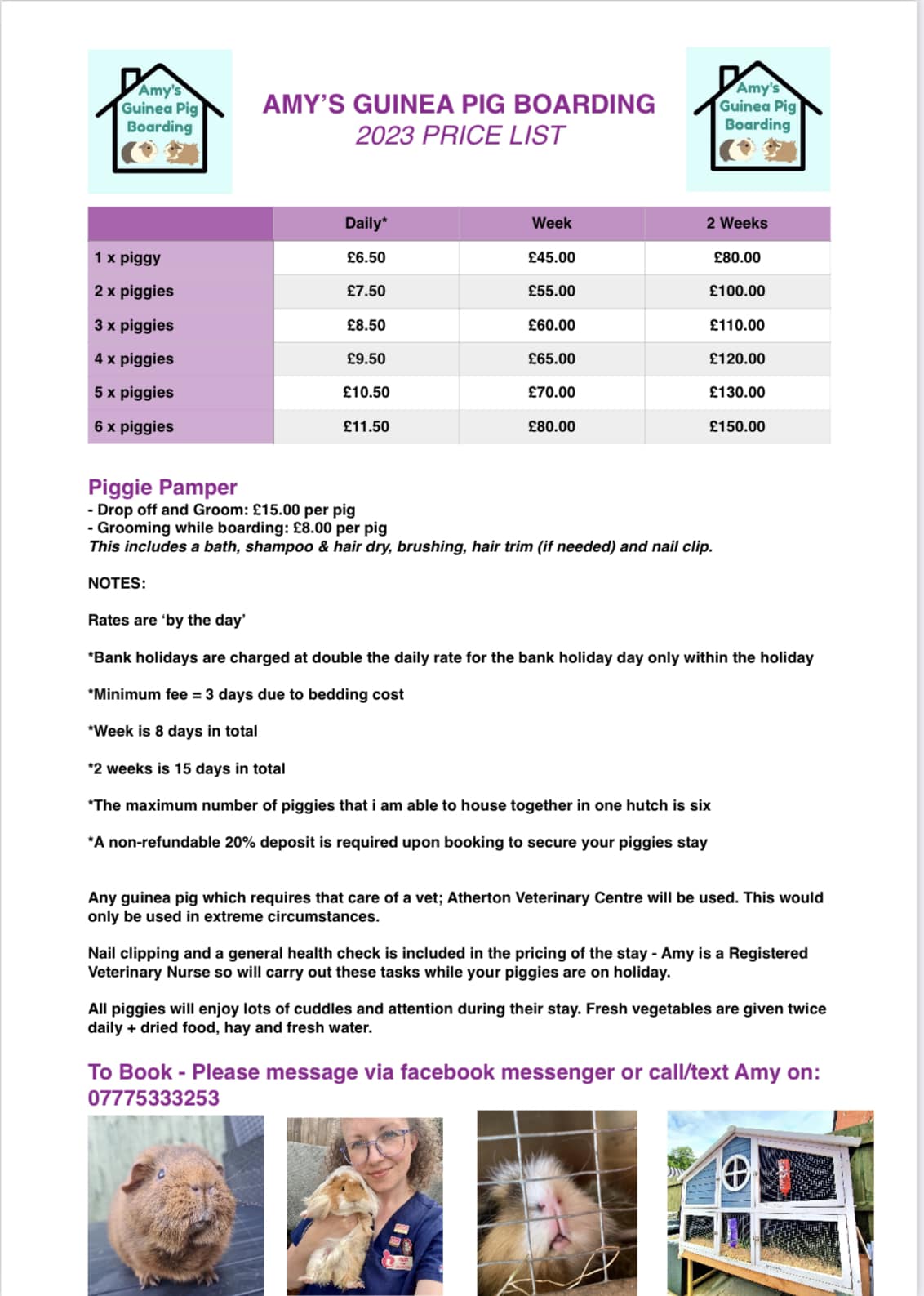 🐹 2023 Price List 🐹 - Amy’s Guinea Pig Boarding