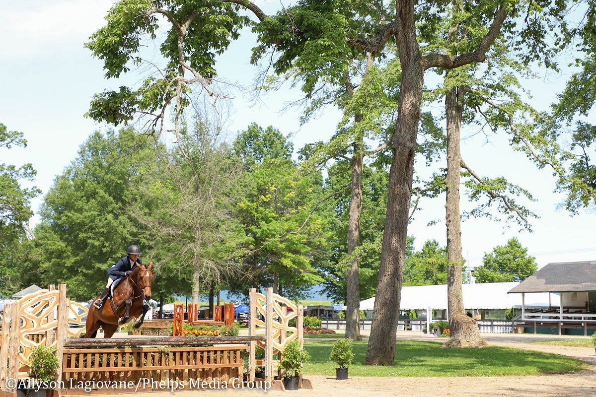 Upperville Colt & Horse... - Upperville Colt & Horse Show