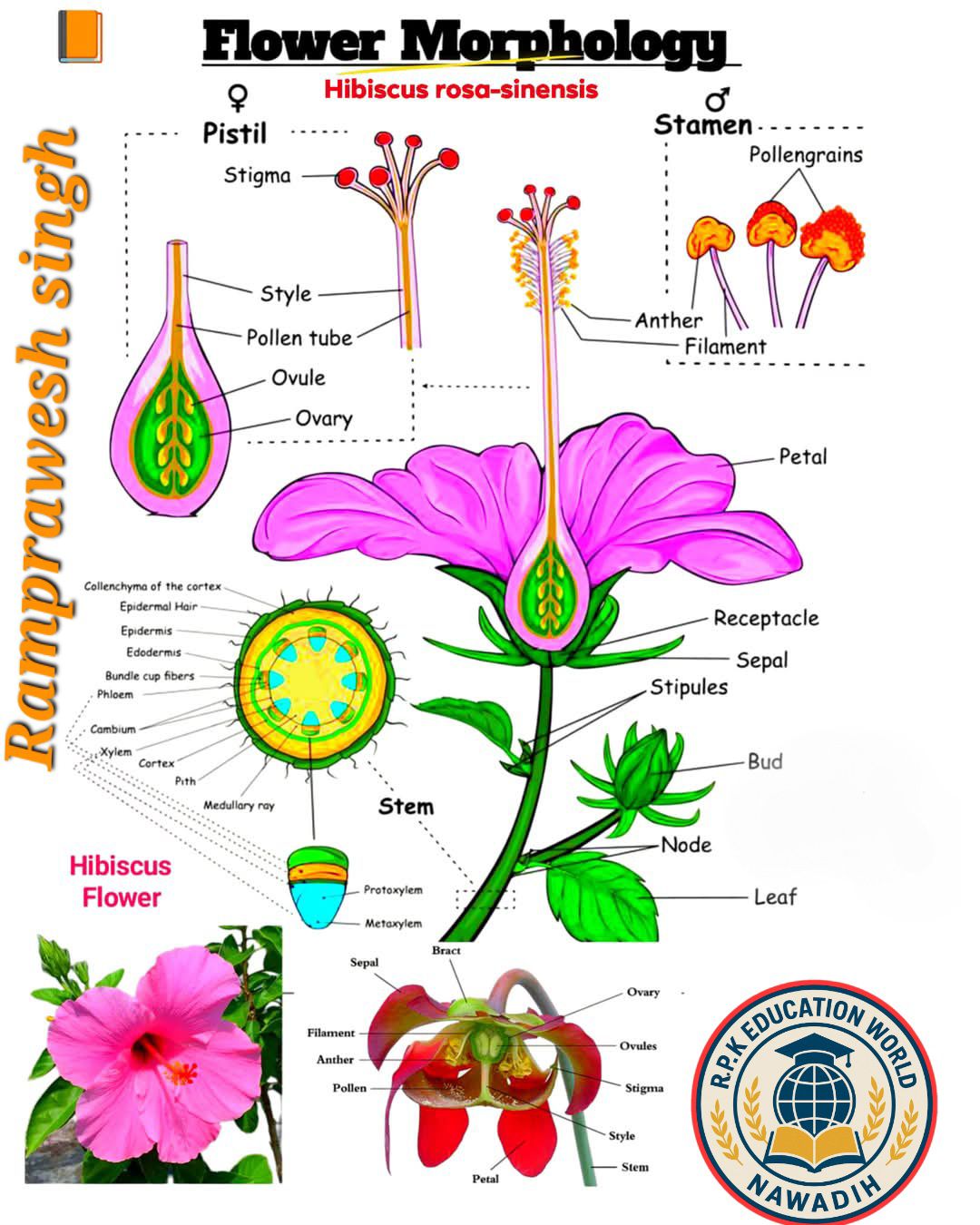 Class 10 Math & Science CBSE / ICSE / Other Boards | 🌺Hibiscus ...