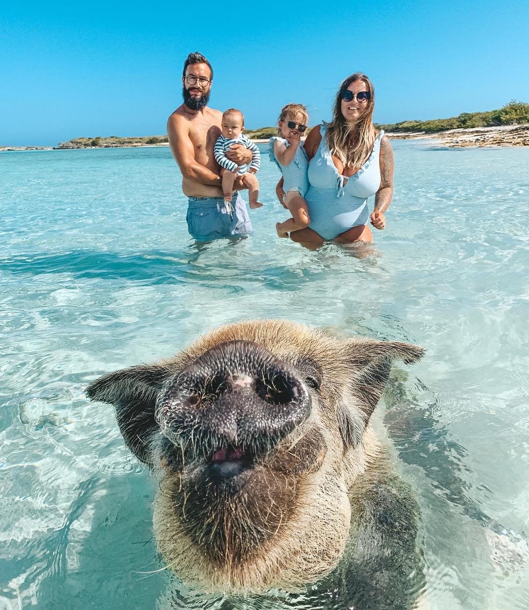 Morgane Audiguet - Nager avec des cochons aux Bahamas ️ . Encore ...