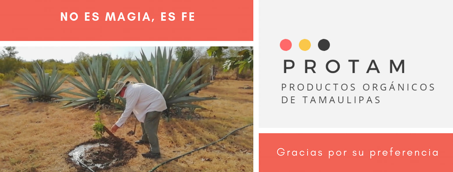 Protam