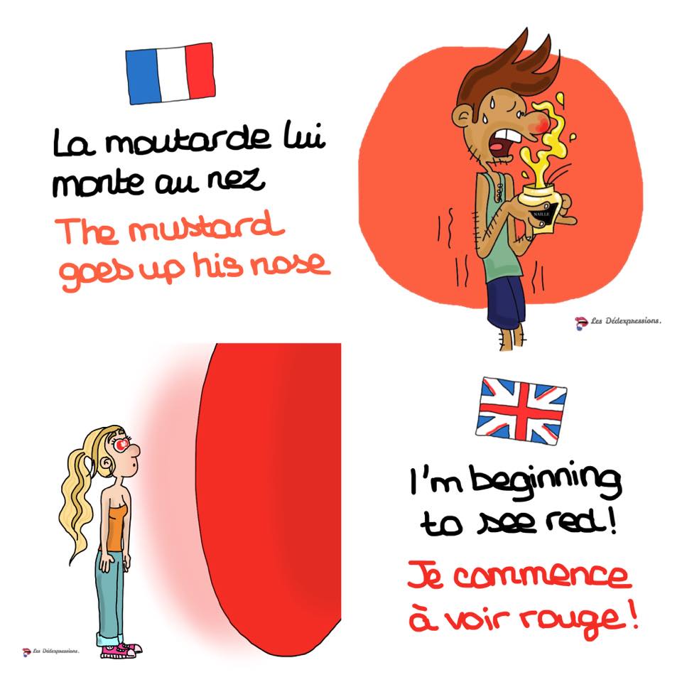 Comment On Dit Nez En Anglais