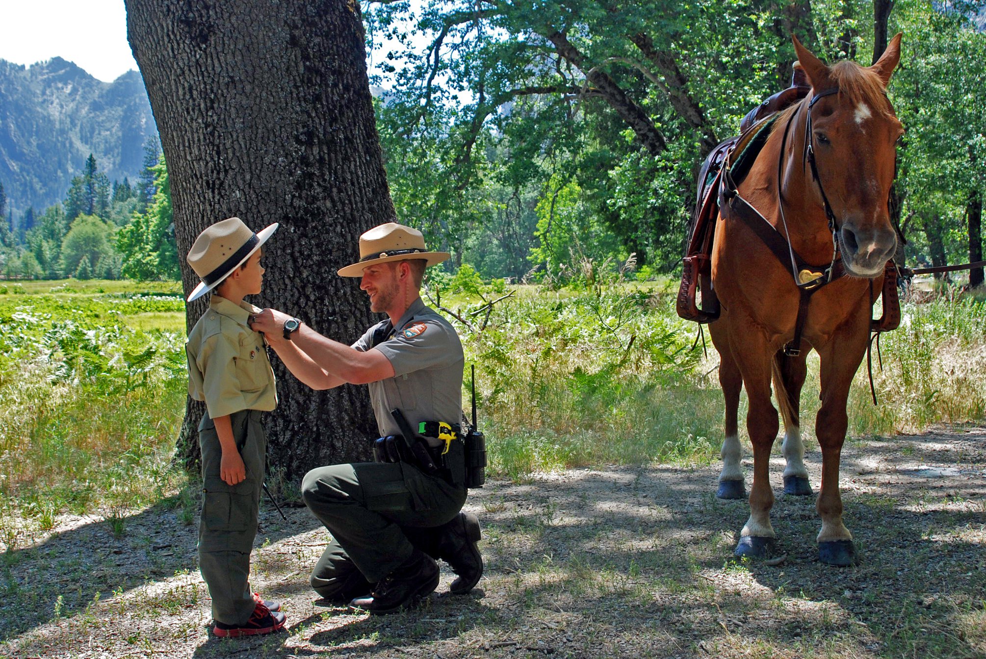Yosemite National Park - Everyone is cordially invited to help us ...