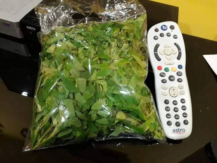 umarqayyum.com - [ Anak Pokok dan Daun Rerama/Rama Rama ]... | Facebook