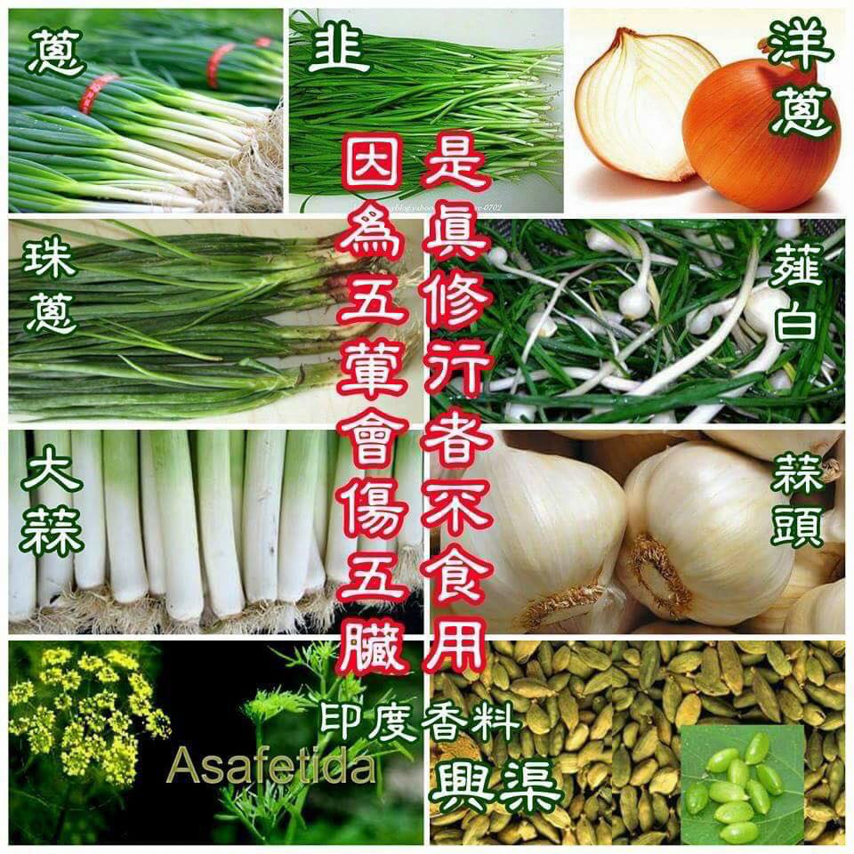 找素 - 五葷是植物，為何真修行者不吃呢? 已茹素、學習茹素及葷食的朋友心中 勢必都曾有這個疑問。 五辛也是植物， 但為何吃素的人及僧人都不碰 ...