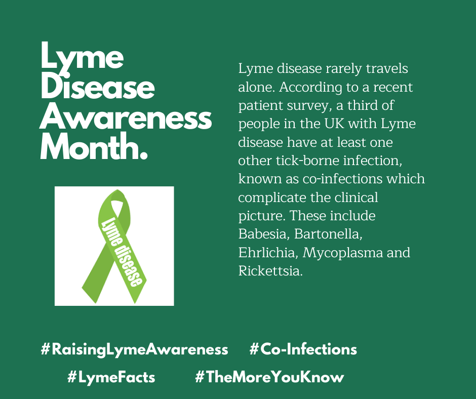 Laffey Lyme Trust - Home