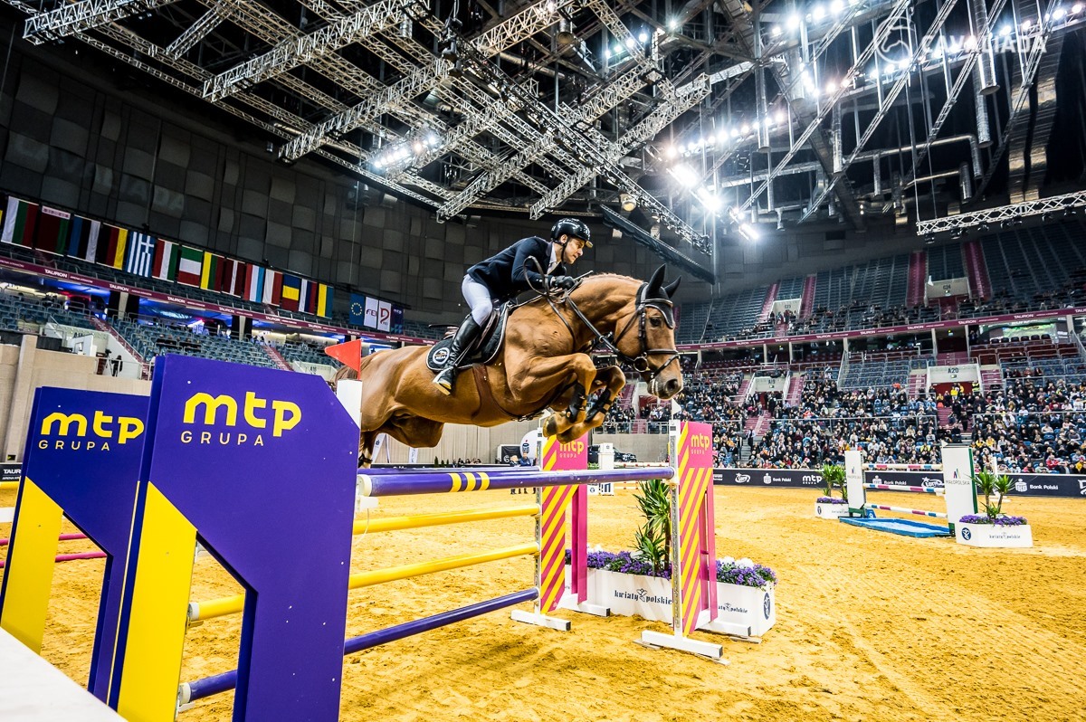 Brzóska Stallions Collection - Zawody w Olszy Duc 123 Z 4 letni ogier ...