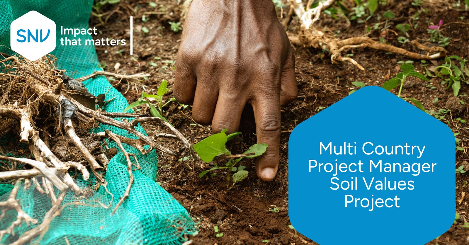 SNV is seeking a Multi-Country Project... - Snv Burkina Faso | Facebook