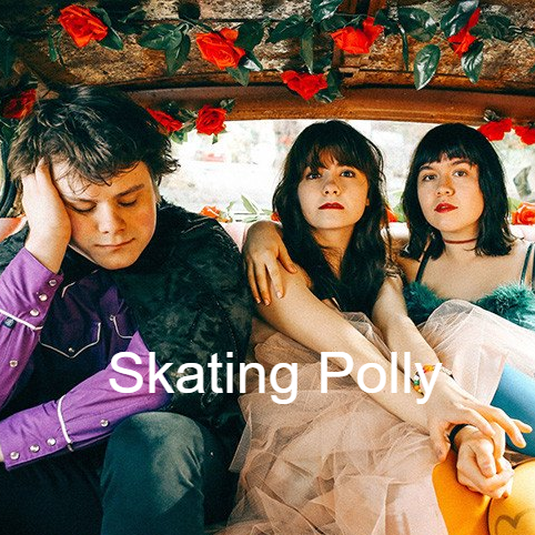 skating-polly-fans-skating-polly-skating-polly-fans-group-album-cover