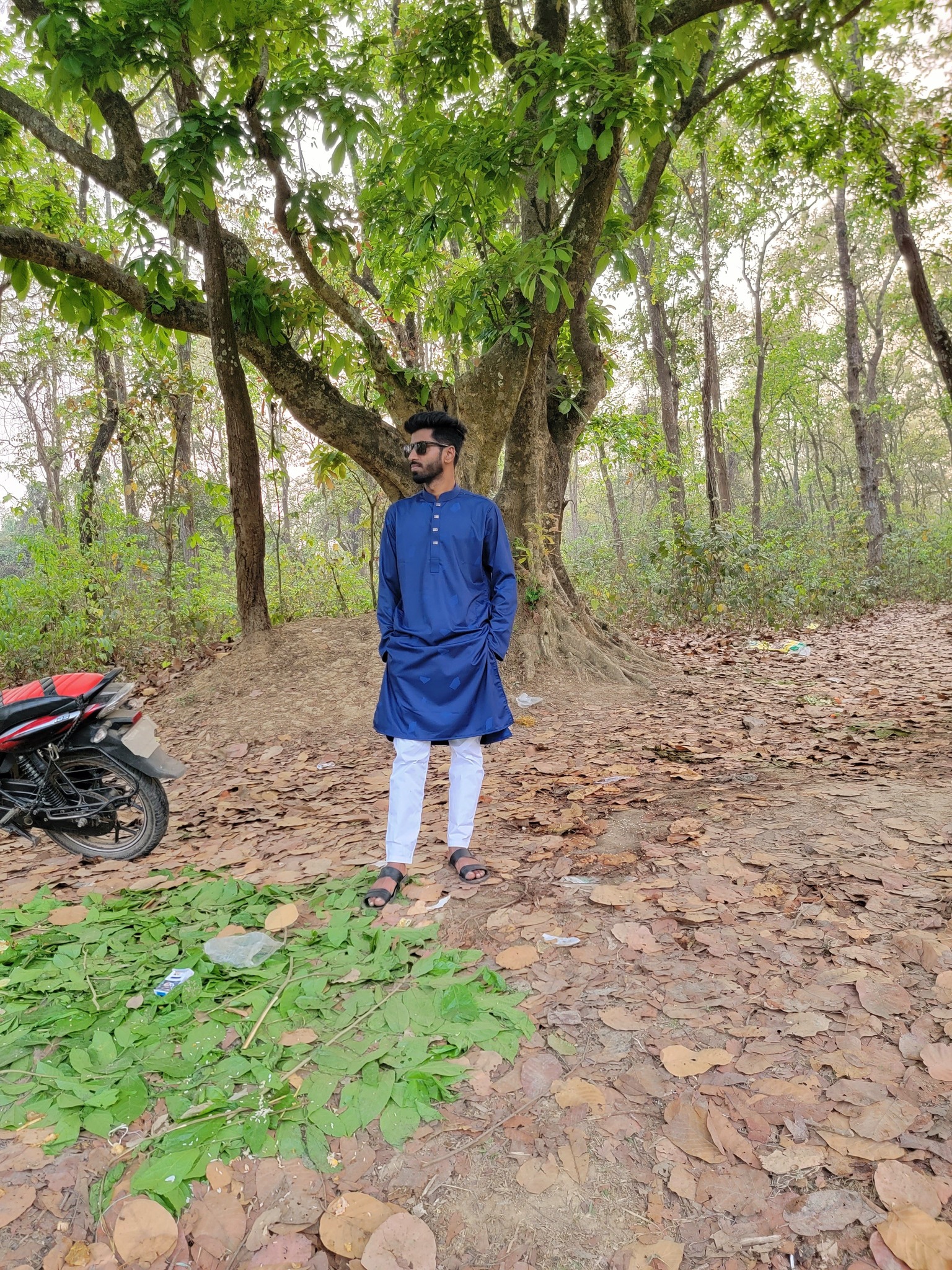 Shahin