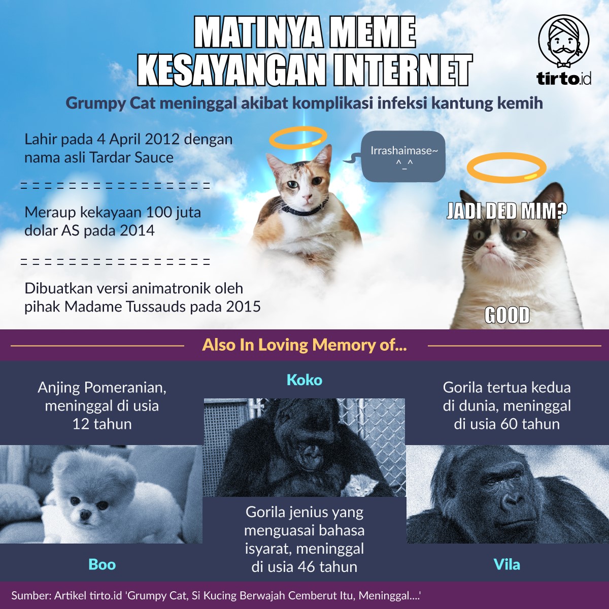 Selamat malam,... - Know Your Meme Indonesia - Unofficial | Facebook