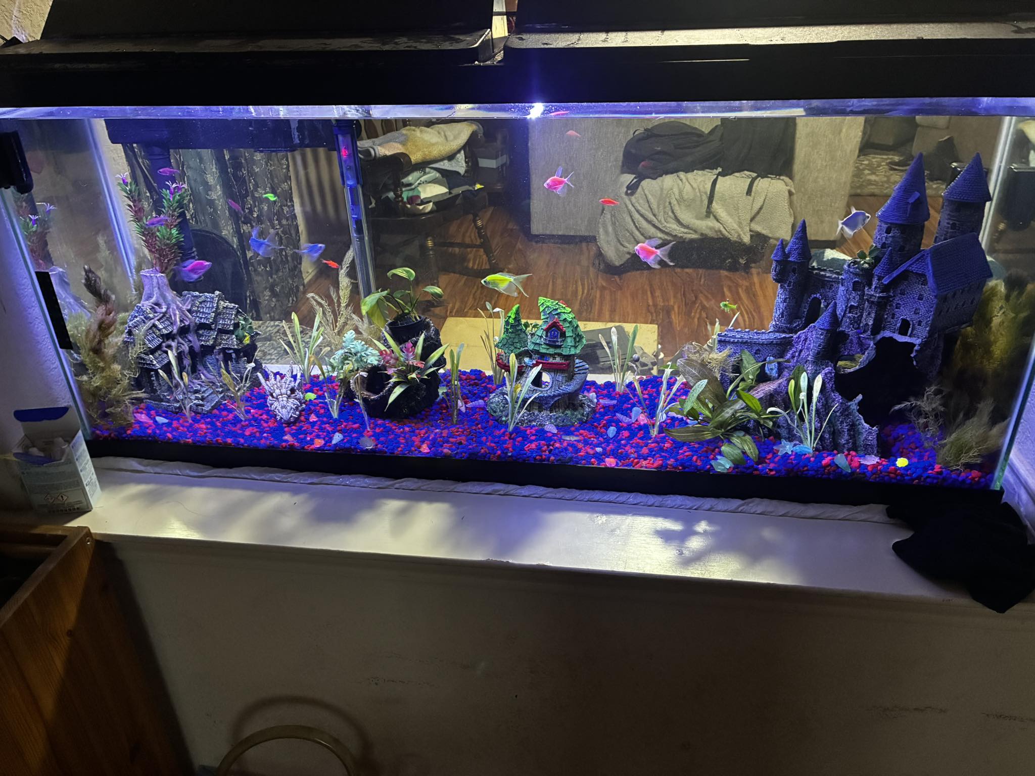 fish tank accessories crossword clue Abizoo Betta Decorations, Betta Tunnel Swim Tube Black Soft Edged Betta Hammock Bed, Shrimp Guppies Hideout Shelter Toys, Aquarium Moss Ledge Sooo guys I went and