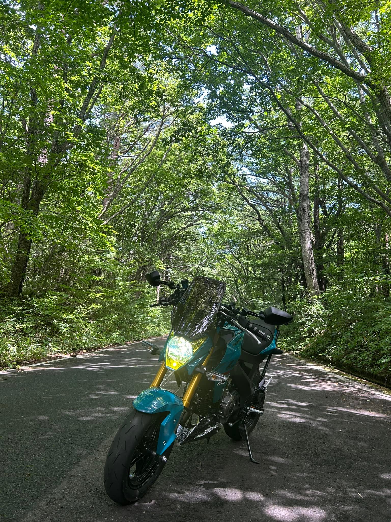 Z125 PRO owners club | Facebook