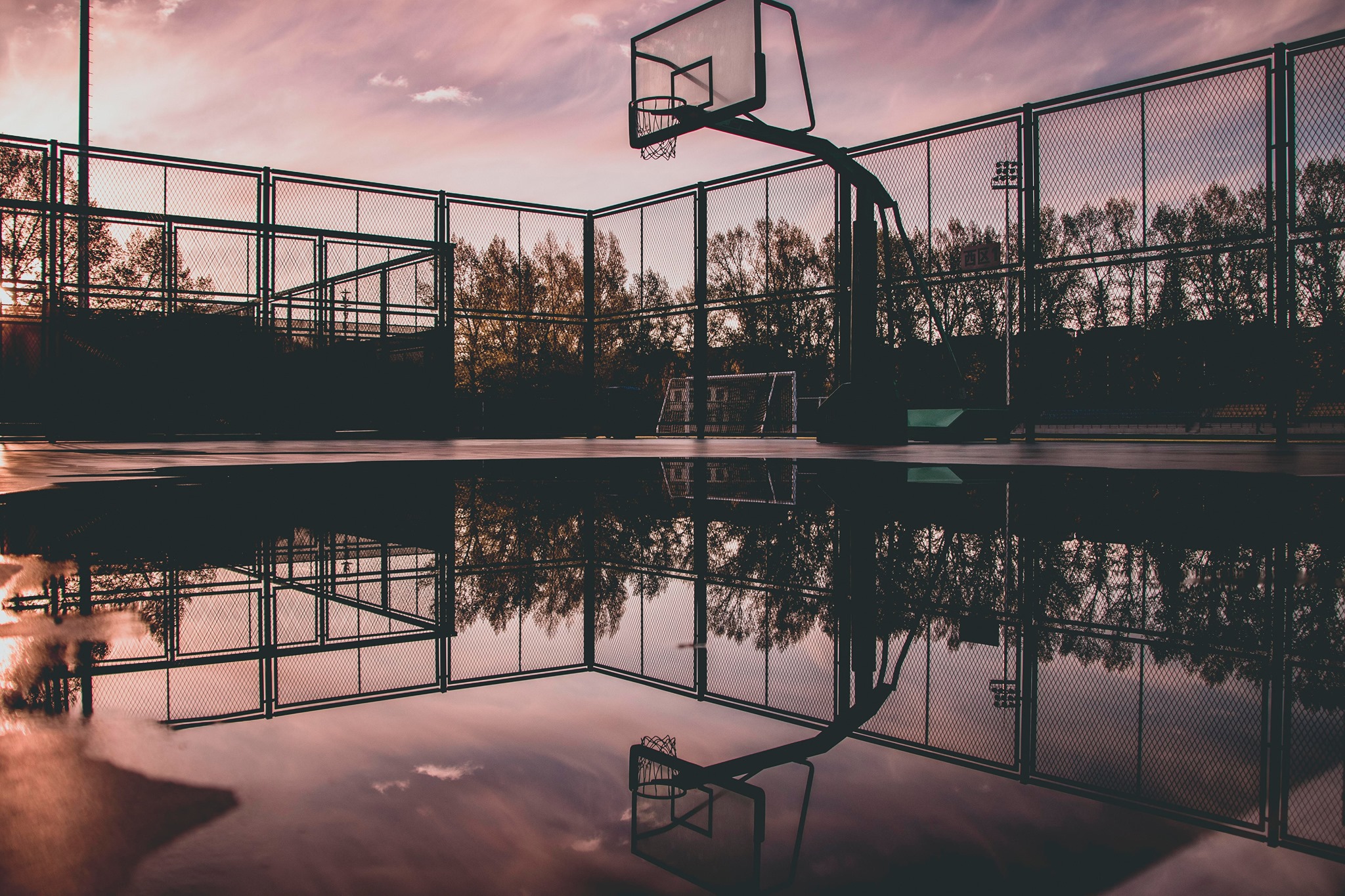 Basketball Jungle