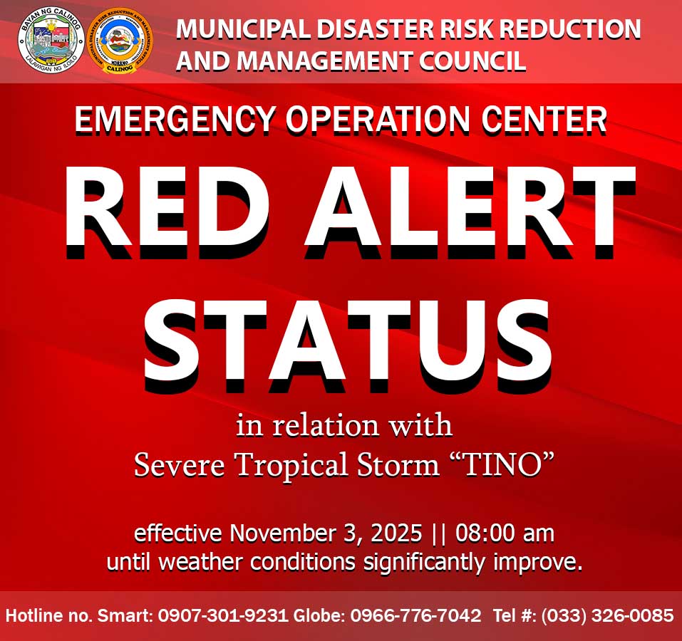 Calinog - ALERT STATUS UPDATE The Calinog Municipal Disaster Risk ...
