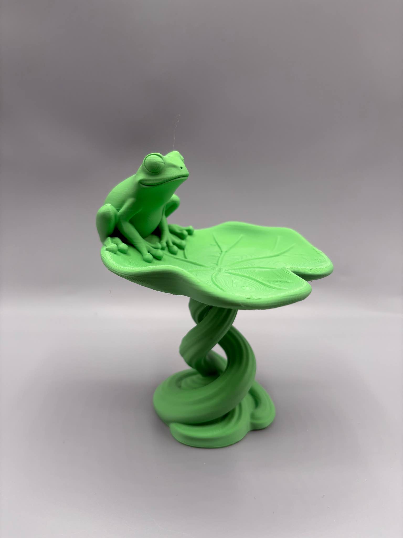 Frog key holder - Decorative Accents - Calgary, Alberta | Facebook ...