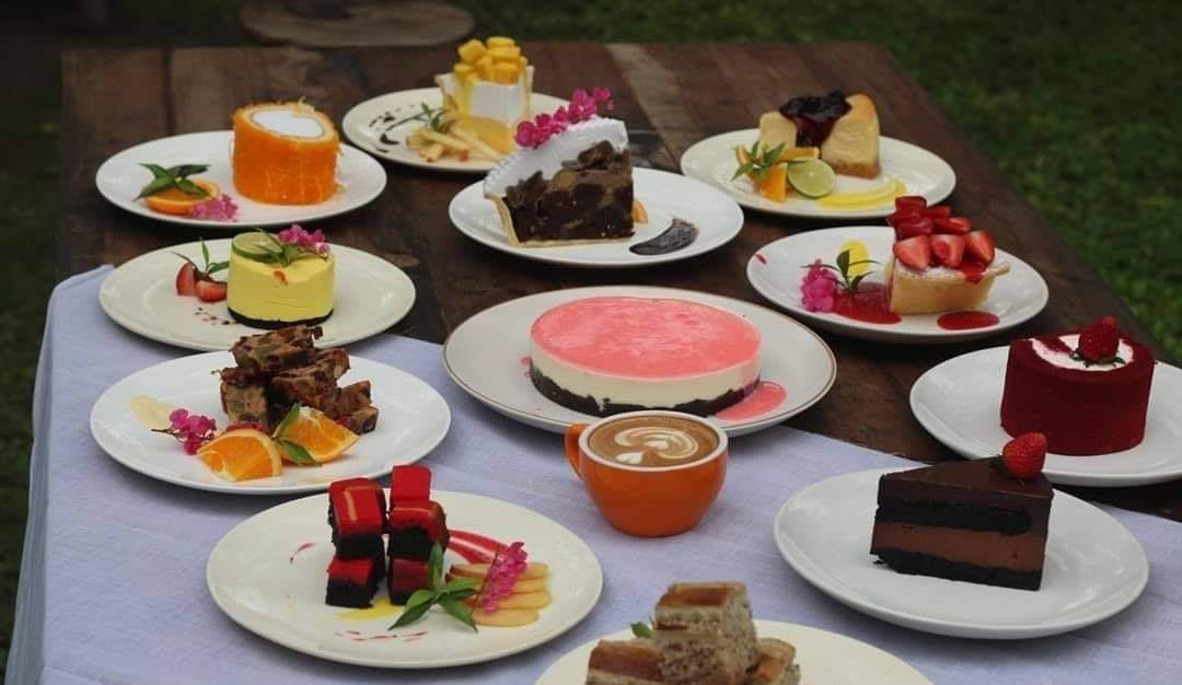 Pakamon Factory เจ็ดยอด | Chiang Mai