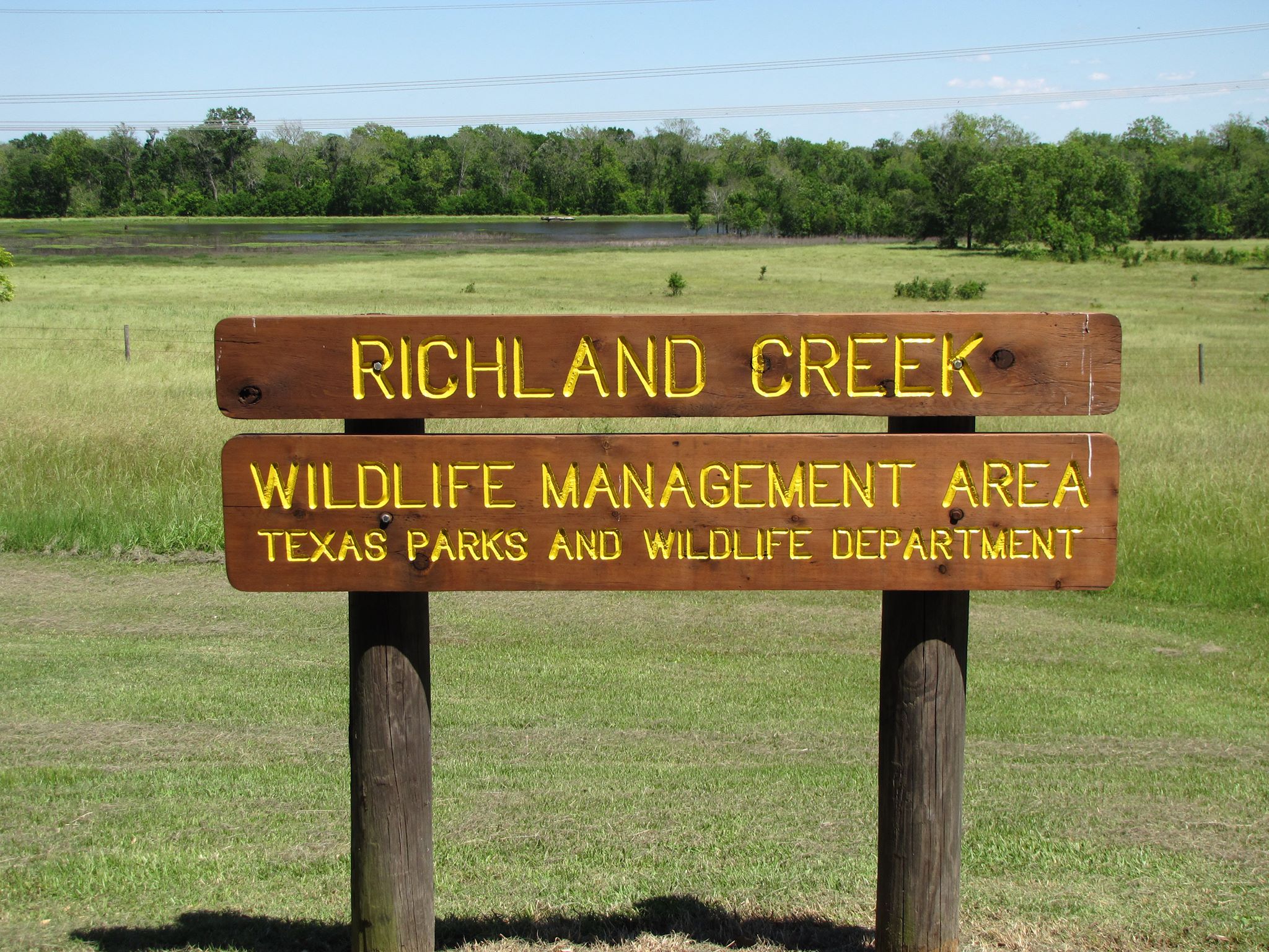 As part of TPWD's ongoing work to re-stock wild turkeys throughout the ...